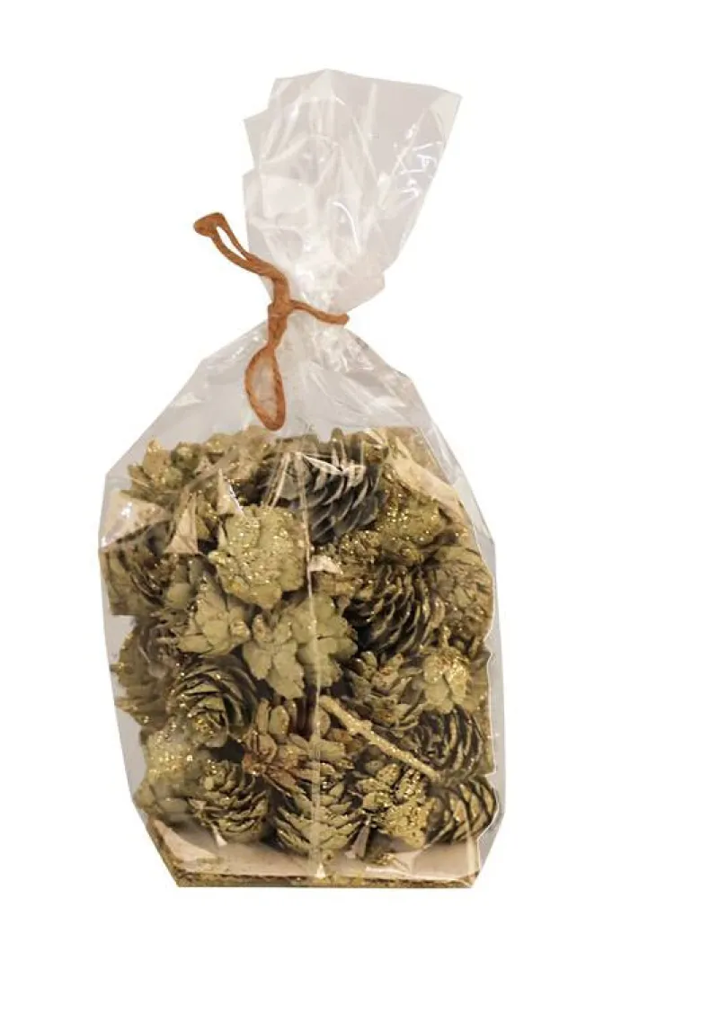 Zak dennenappels S groen