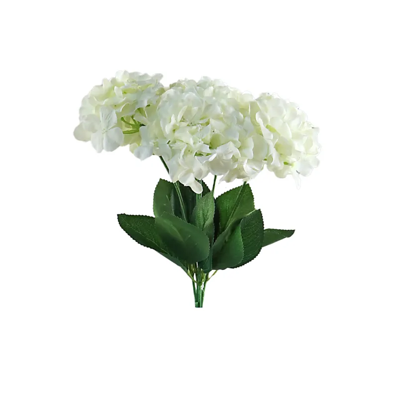 Hortensia Iana