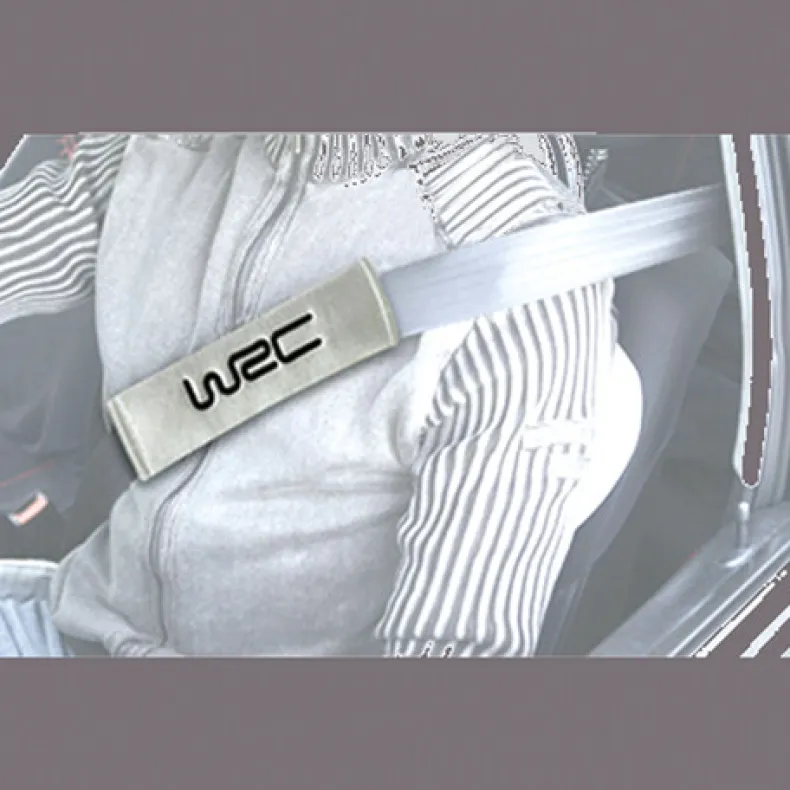 2 gordelkussens zilver