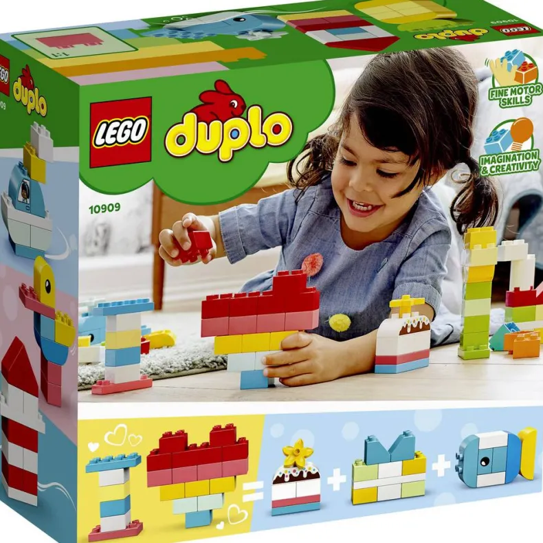 10909 HARTVORMIGE DOOS