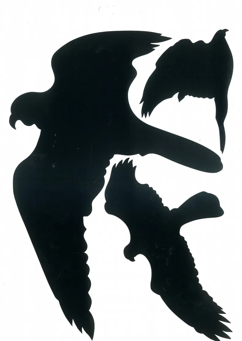 Glassilhouetten vogels zwart 19 x 27 cm