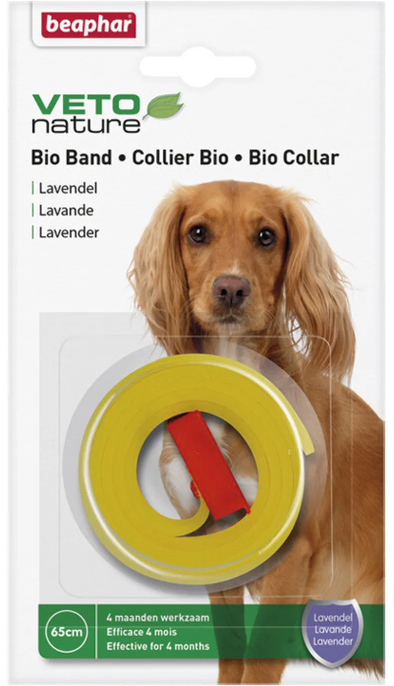 Bioband Hond lavendel