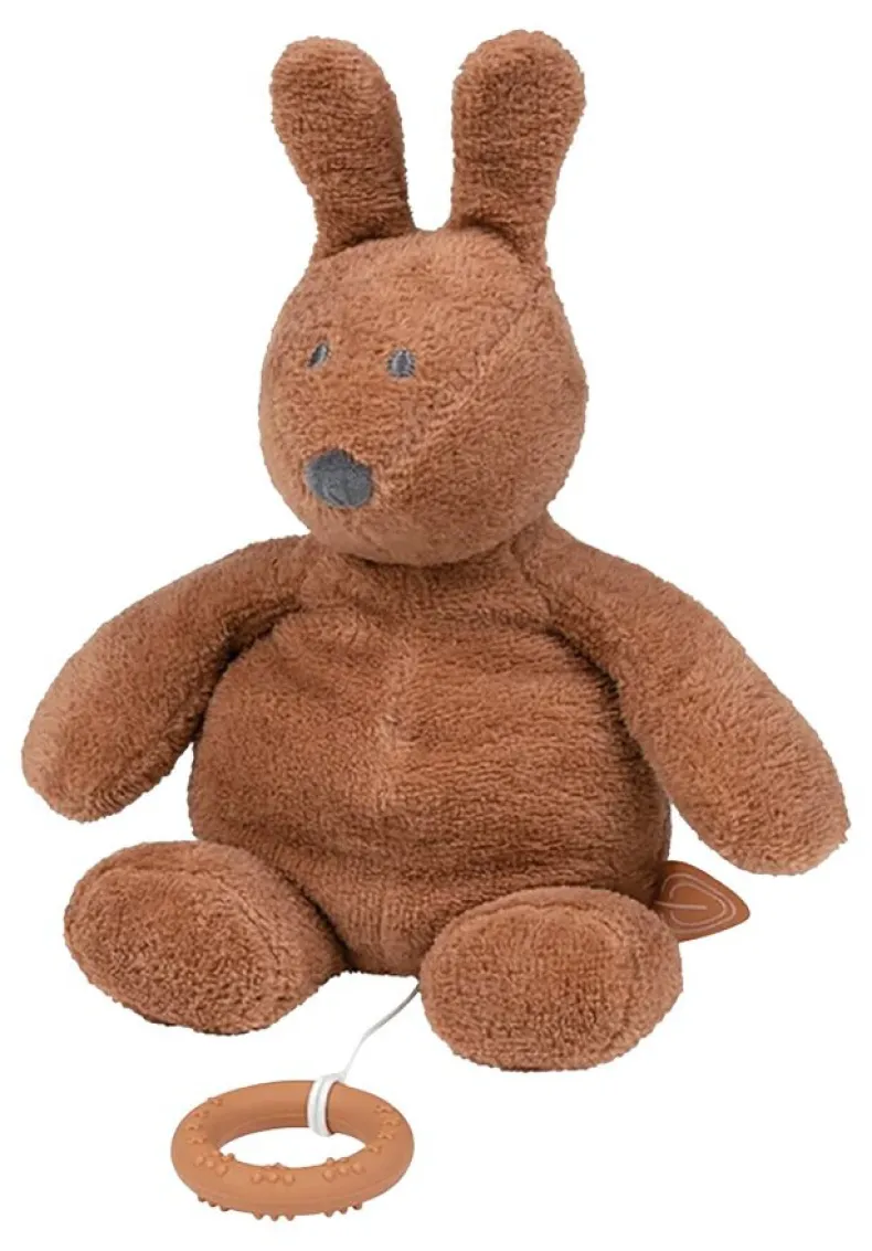 Bonnie muziektrekker roest