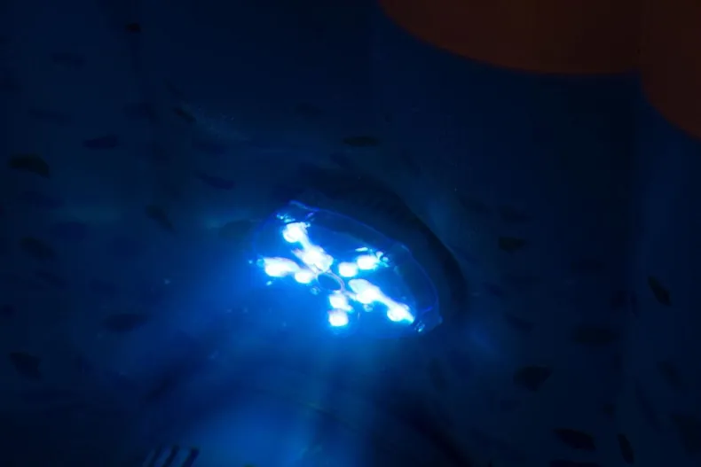 Lay-Z Spa LED Verlichting 7 Kleuren