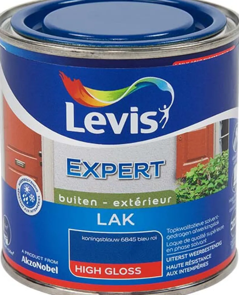 Lak expert high gloss 6845 250 ml