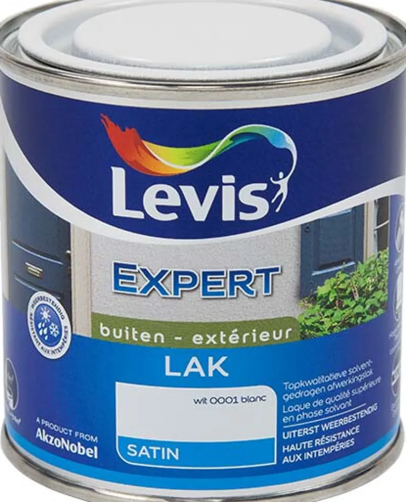 Lak expert satin 0001 250 ml