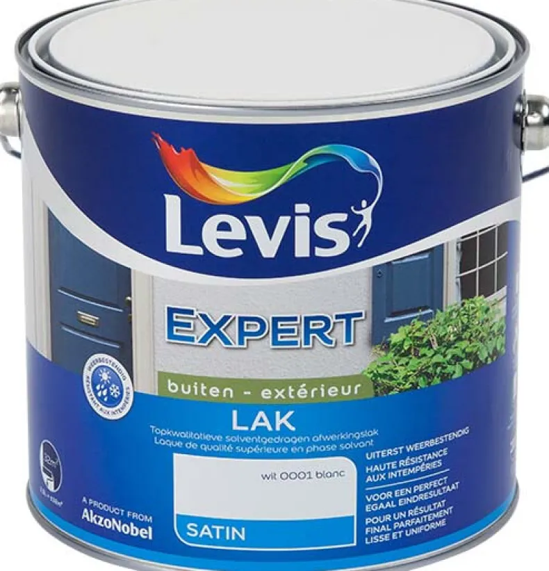 Lak expert satin 0001 2,5 L