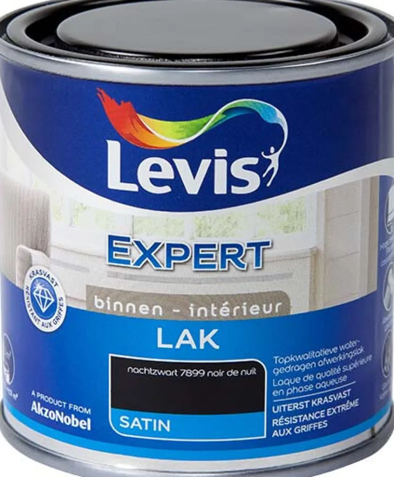 Lak expert satin nachtzwart 250 ml