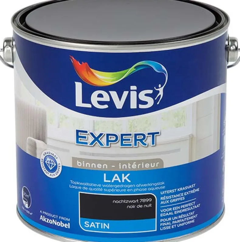 Lak regular satin nachtzwart 2,5 L