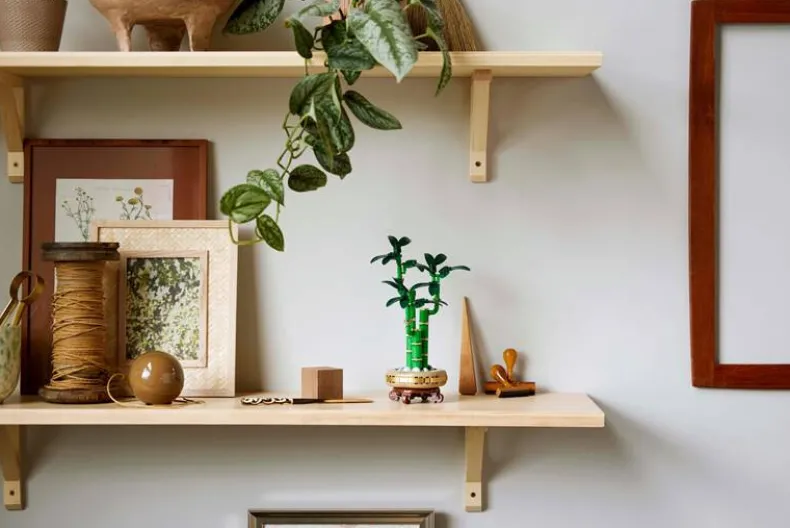 LEGO Botanicals 10344 Bamboe