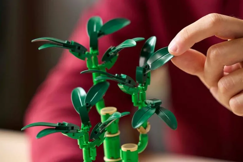 LEGO Botanicals 10344 Bamboe