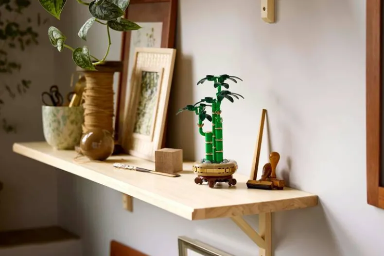 LEGO Botanicals 10344 Bamboe