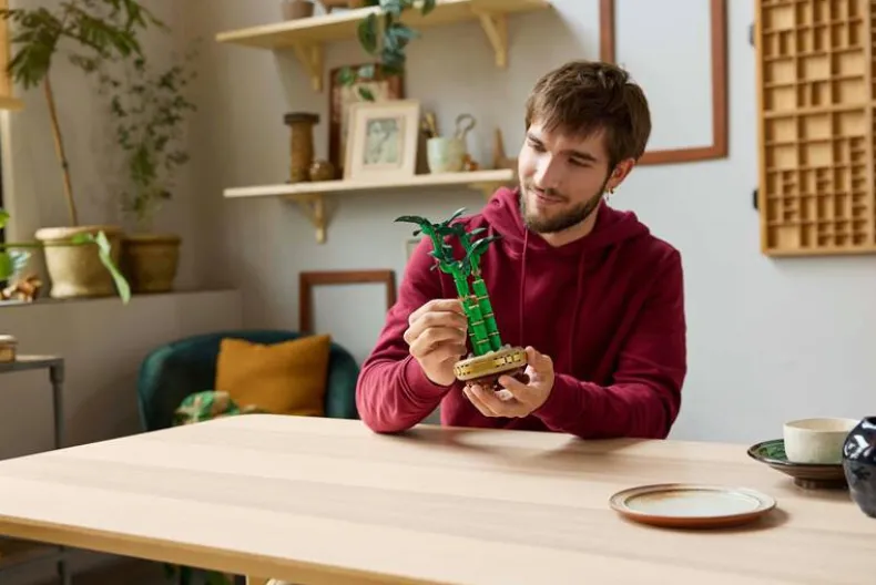 LEGO Botanicals 10344 Bamboe