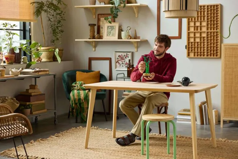 LEGO Botanicals 10344 Bamboe