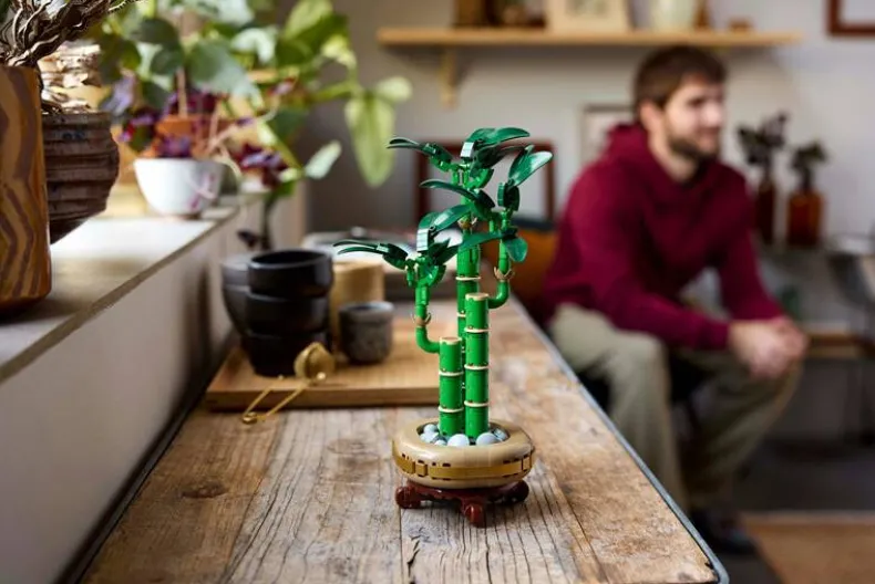 LEGO Botanicals 10344 Bamboe