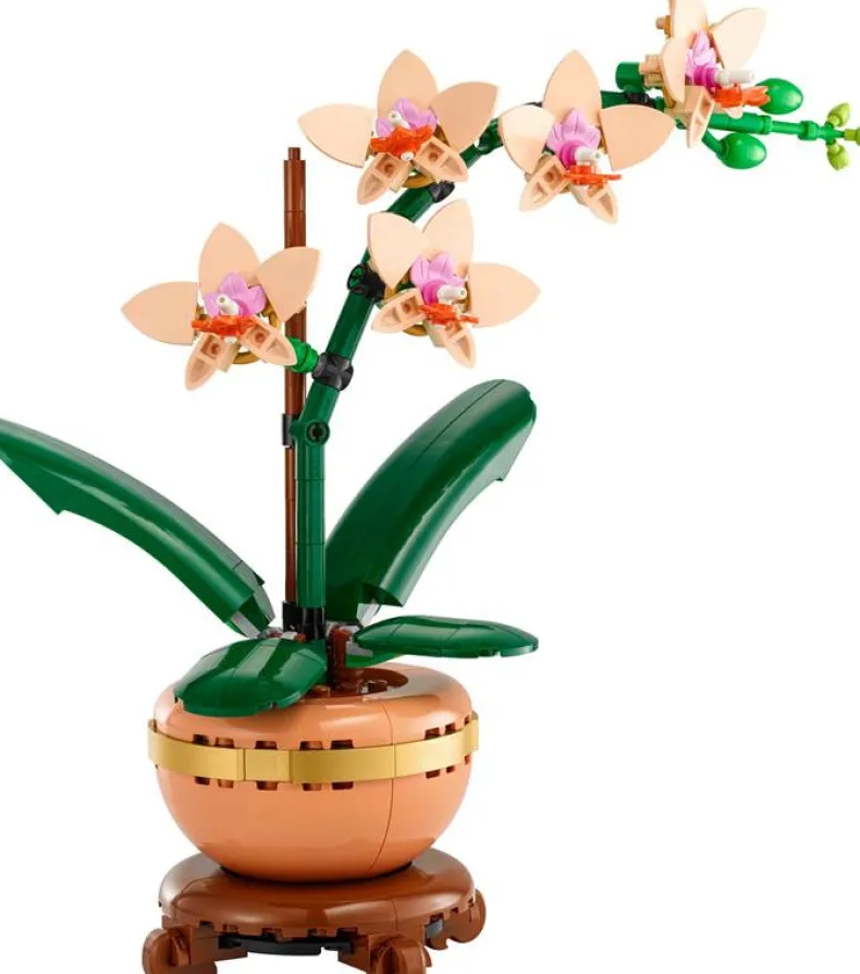 LEGO Botanicals 10343 Mini orchidee