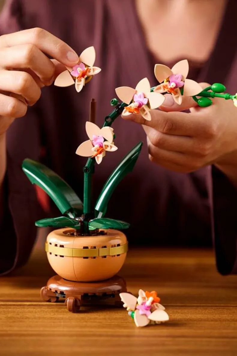 LEGO Botanicals 10343 Mini orchidee