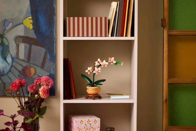 LEGO Botanicals 10343 Mini orchidee