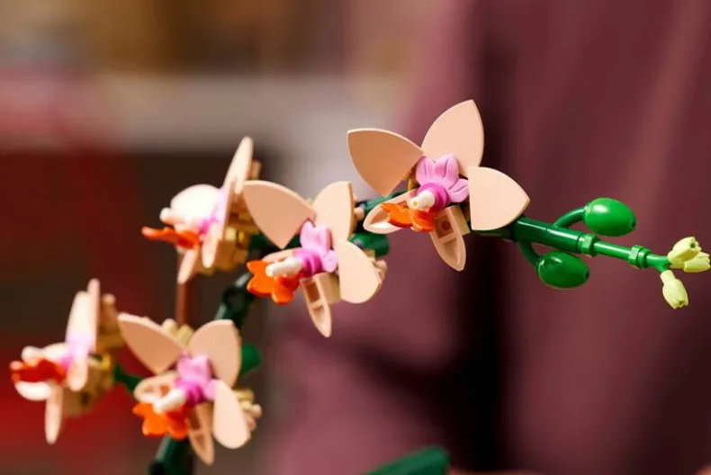 LEGO Botanicals 10343 Mini orchidee