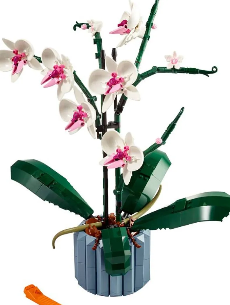 LEGO Botanicals 10311 Orchidee