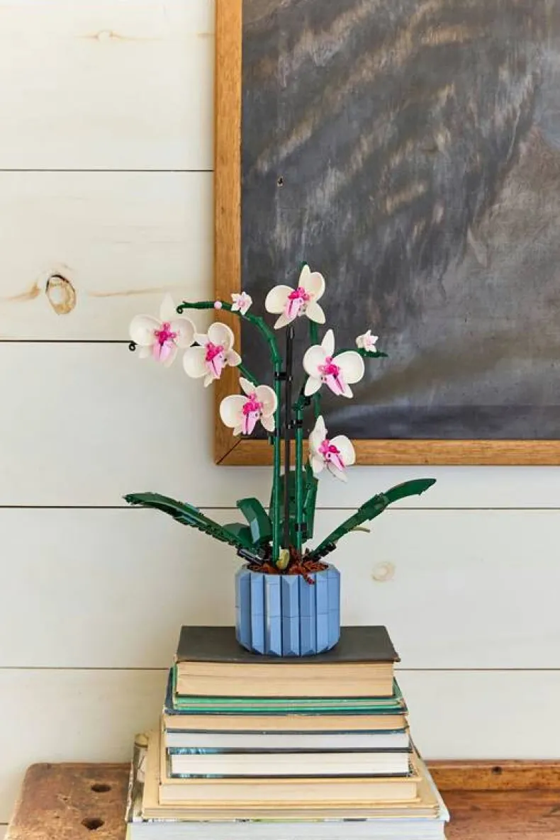 LEGO Botanicals 10311 Orchidee