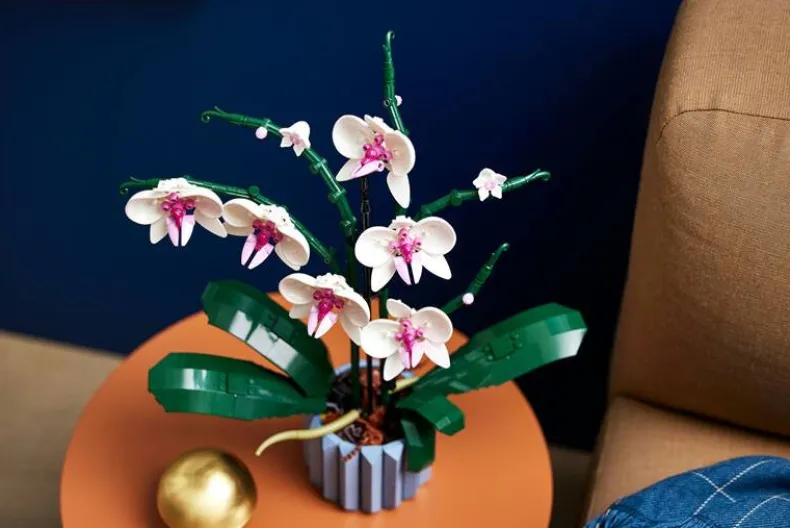 LEGO Botanicals 10311 Orchidee