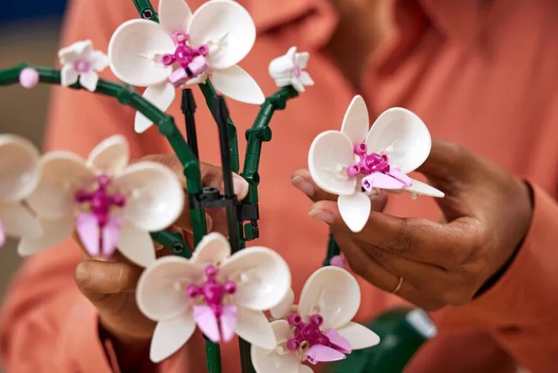 LEGO Botanicals 10311 Orchidee