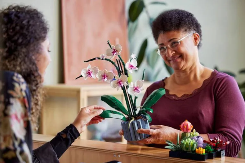 LEGO Botanicals 10311 Orchidee