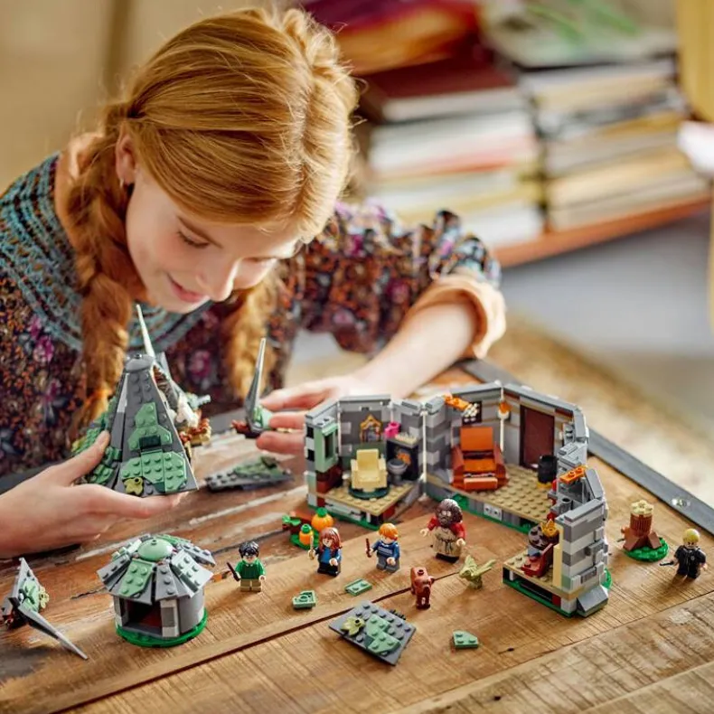 LEGO Harry Potter 76428 Hagrids huisje: onverwacht bezoek