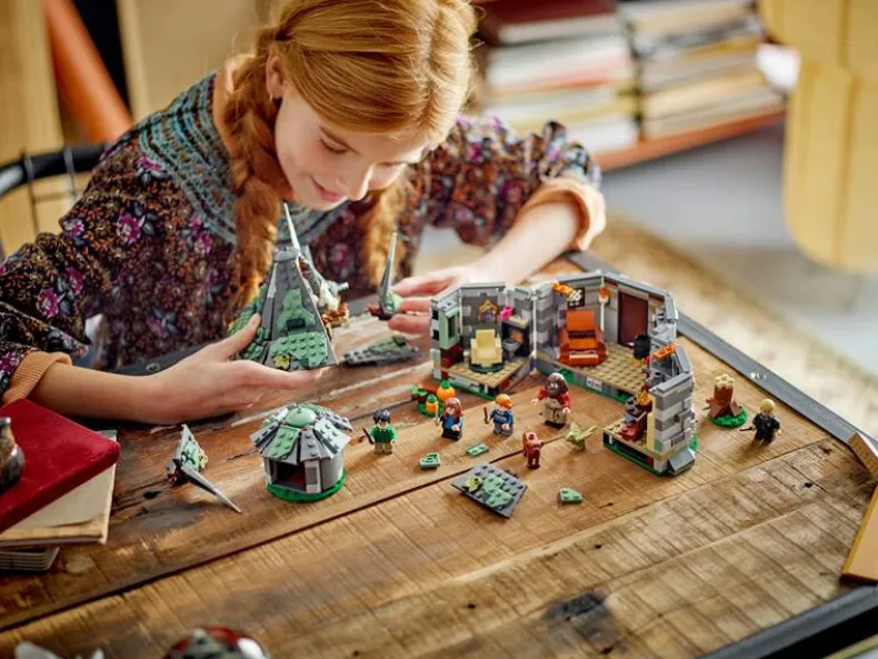 LEGO Harry Potter 76428 Hagrids huisje: onverwacht bezoek