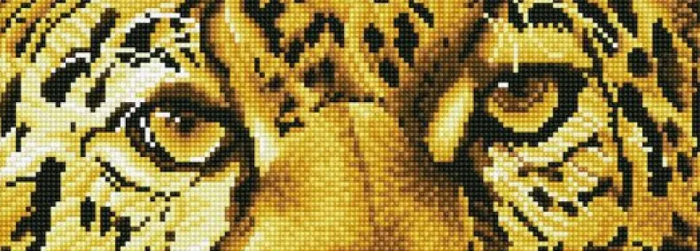 Leopard Spy Diamond Dotz