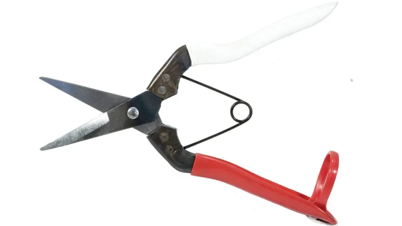 Okatsune 304 dunschaar