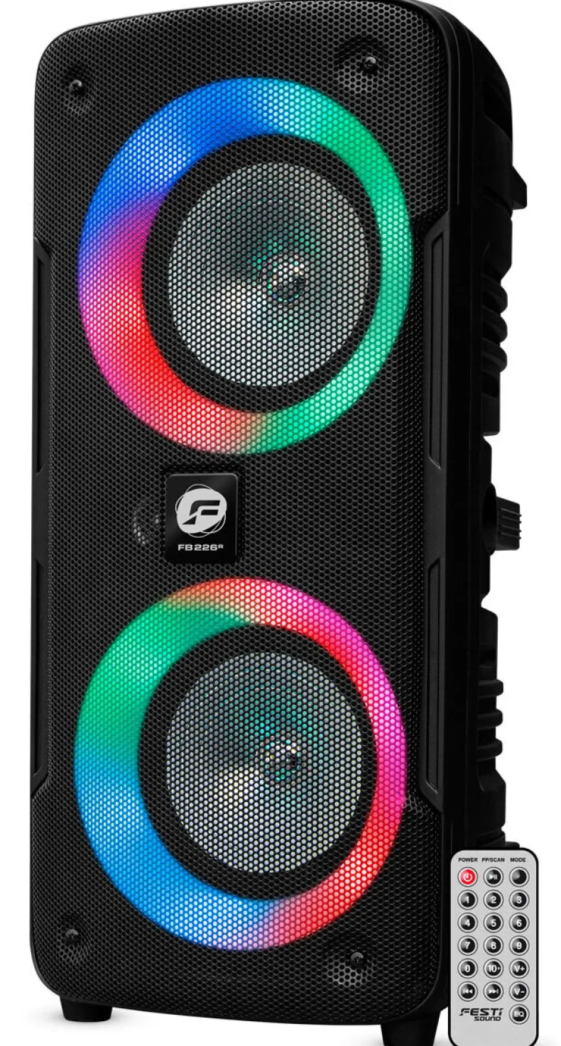 Party speaker 2x6" woofer