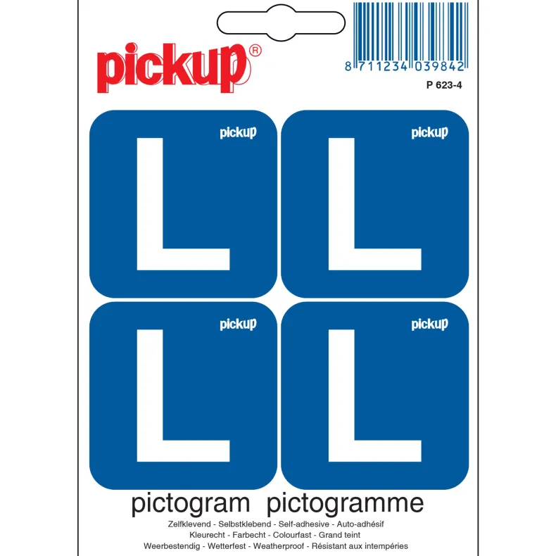 Pictogram L 4 stuks 10 x 10 cm