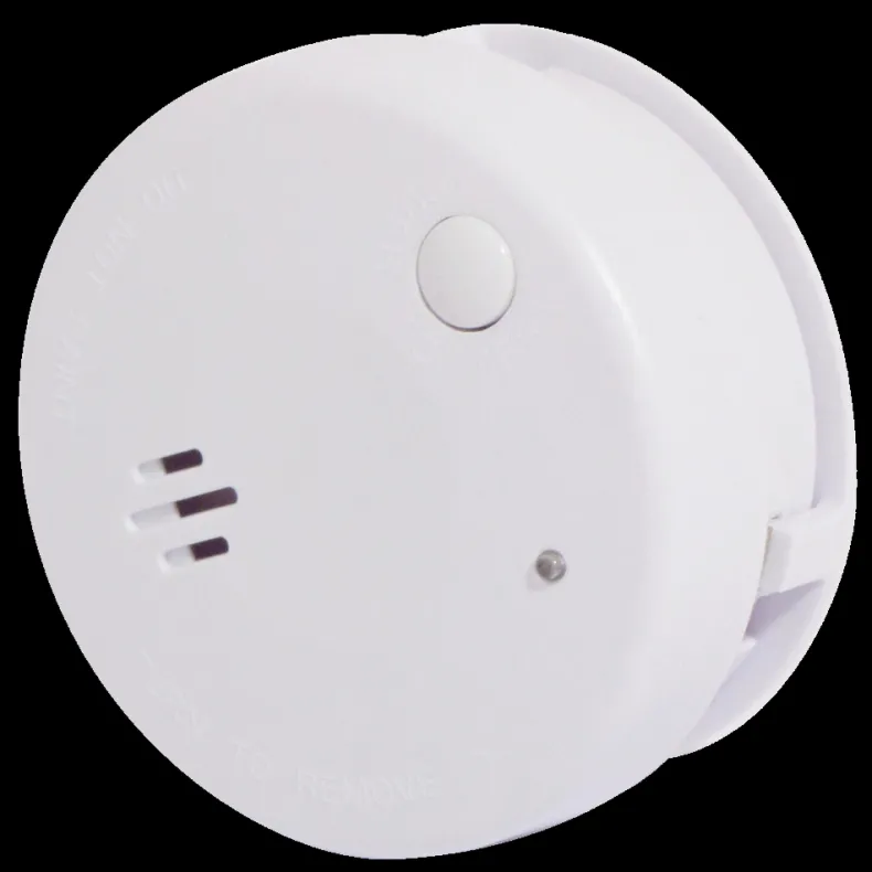 Rookmelder 5 jaar lithium