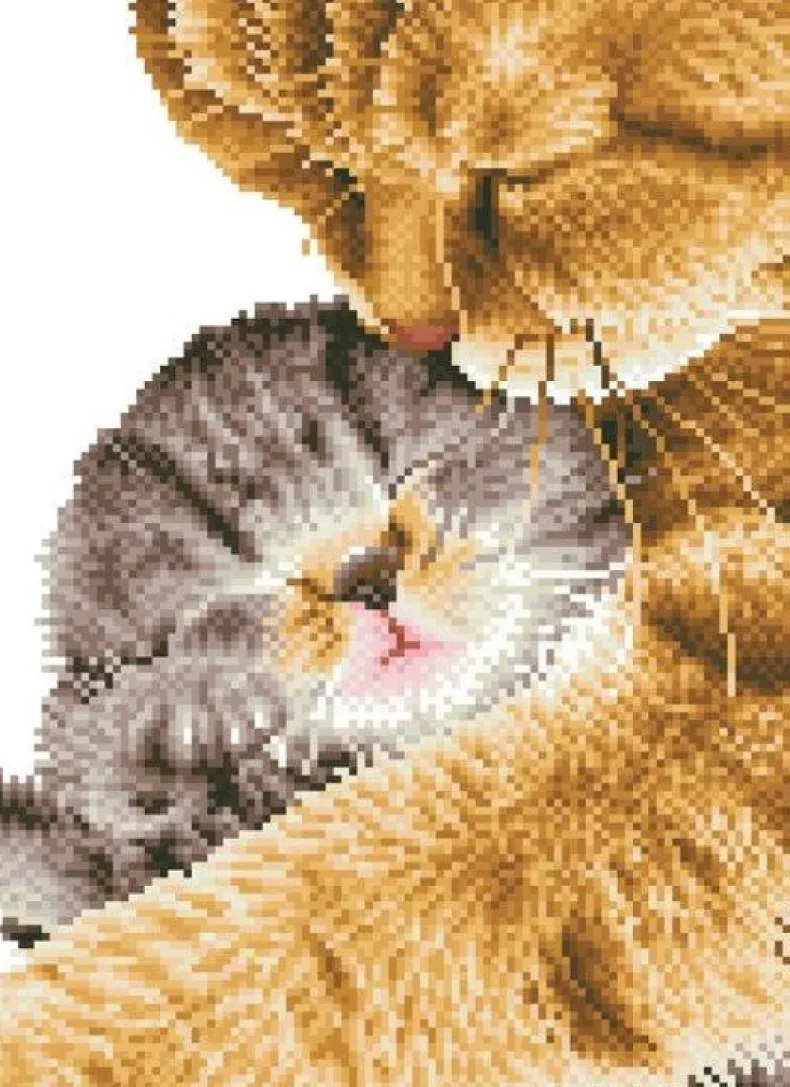 Tender Moment Diamond Dotz