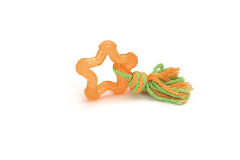Tpr hondenspeelgoed star oranje 8 cm