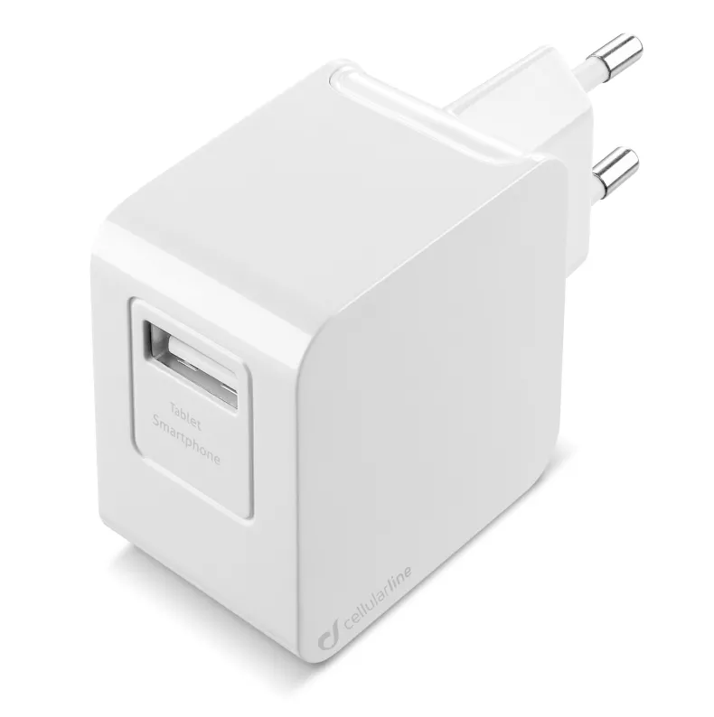 Travel Charger Micro-Usb 2A
