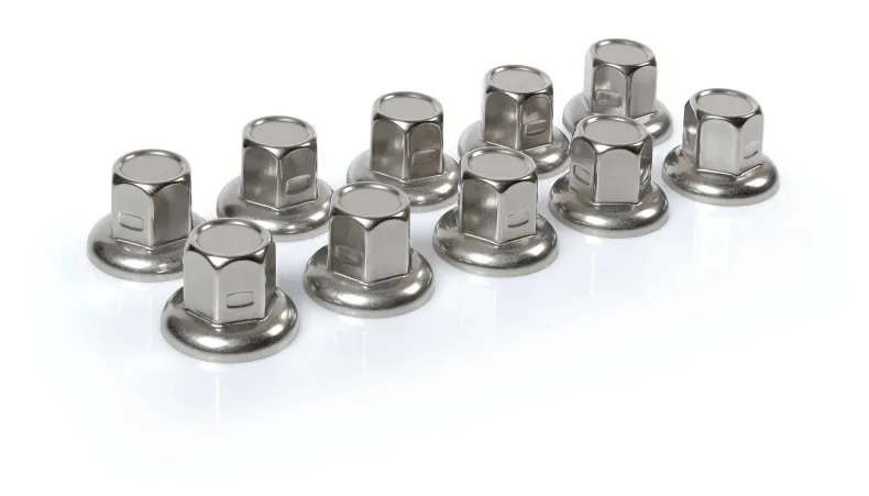 Wielmoerdoppen RVS x10 32mm