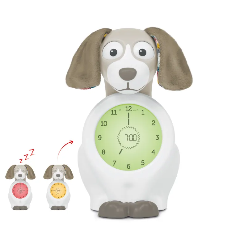 Zazu - Slaaptrainer Hond - Davy Taupe