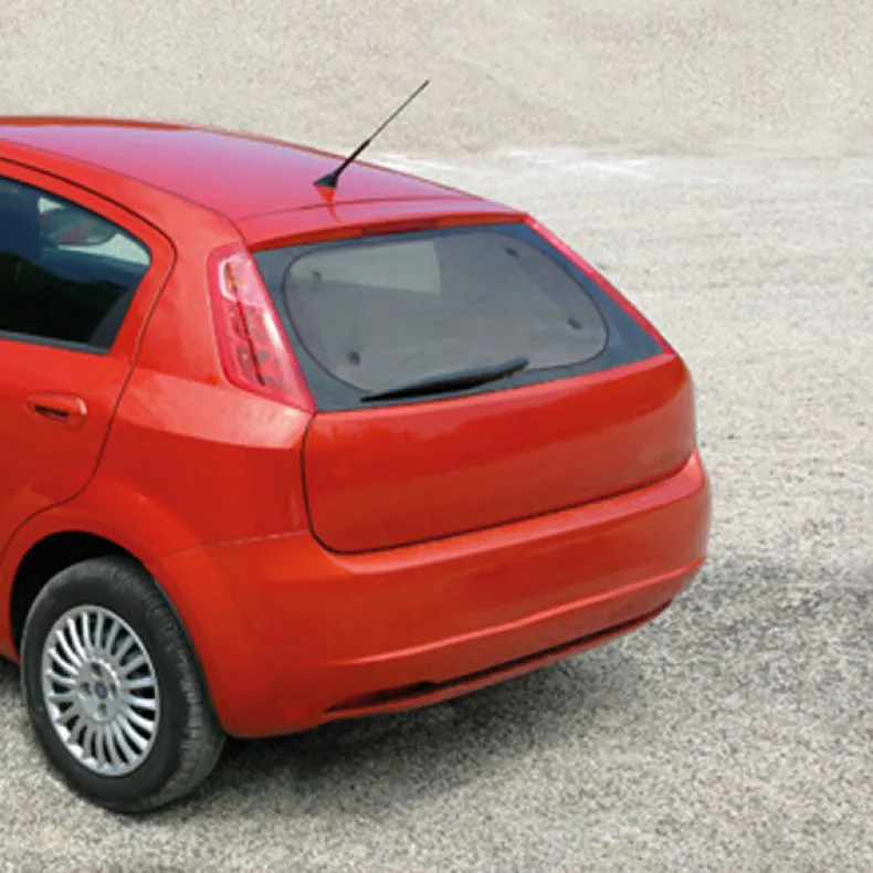 Zongordijn achterruit 50 x 100 cm